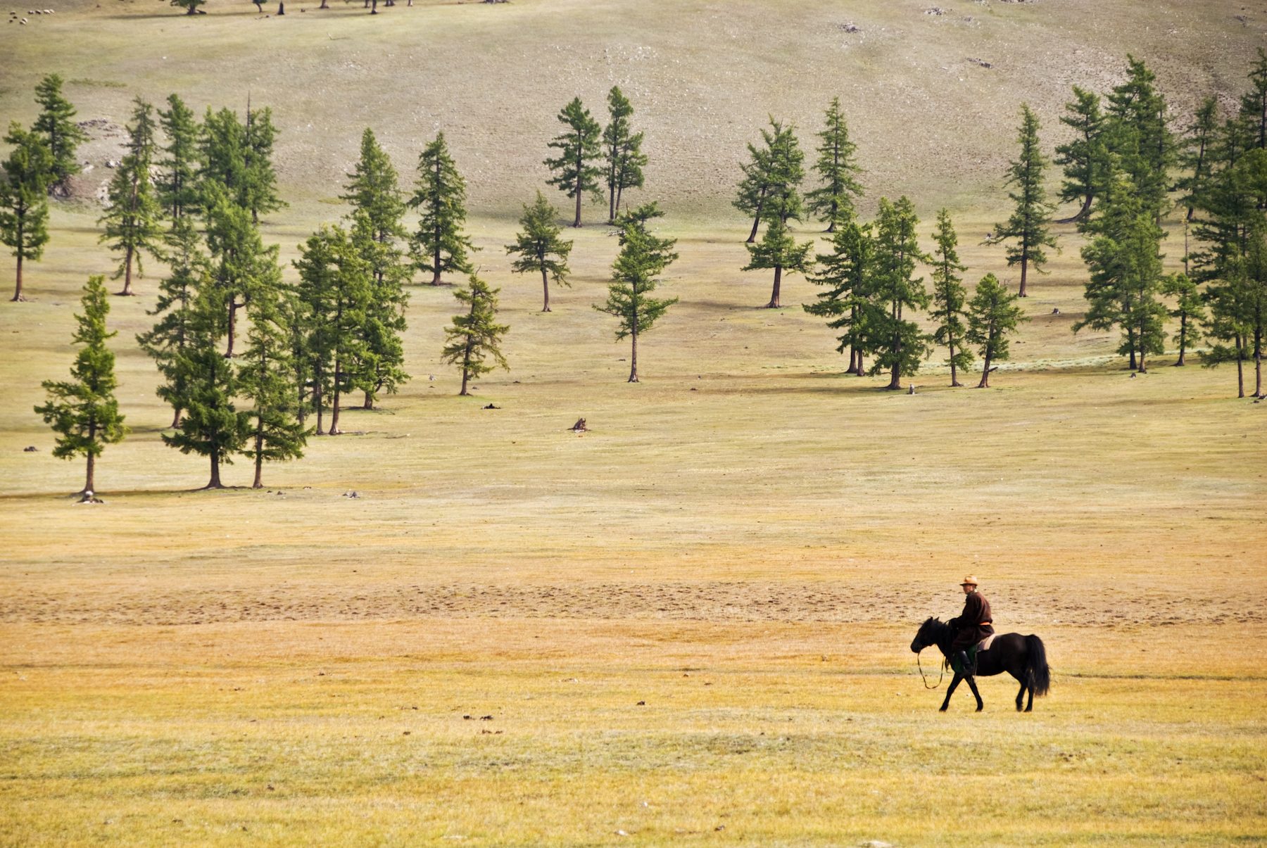 Terelj on horseback with lunch at Big Sky Lodge